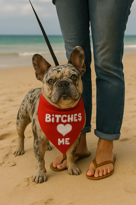 Parisian Pet 'Bitches Love Me' Bandana - Stylish, Comfortable, Trendy Red Bandana for Dogs & Cats, Fun Pet Fashion Accessory