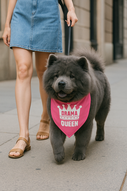 Parisian Pet 'Drama Queen' Bandana for Dogs & Cats - Fashionable, Comfortable, Fun Pink Dog & Cat Bandana, Trendy Pet Accessory