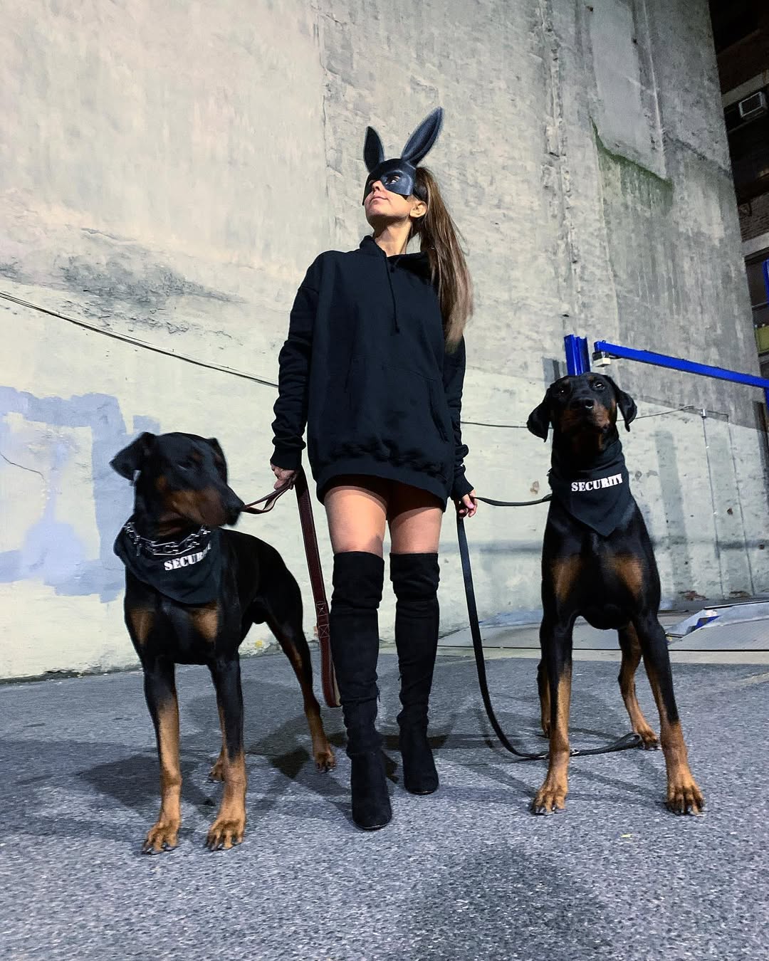 Parisian Pet 'Security®' Bandana - Comfortable, Fashionable Black Pet Bandana for Dogs & Cats, Trendy and Durable Pet Accessory
