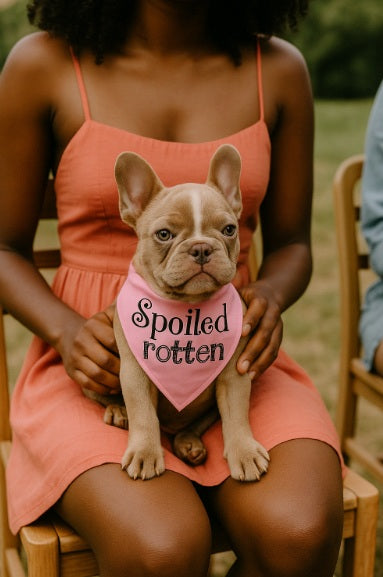 Parisian Pet 'Spoiled Rotten' Bandana for Dogs & Cats - Trendy, Comfortable, Funny Pink Dog Bandana