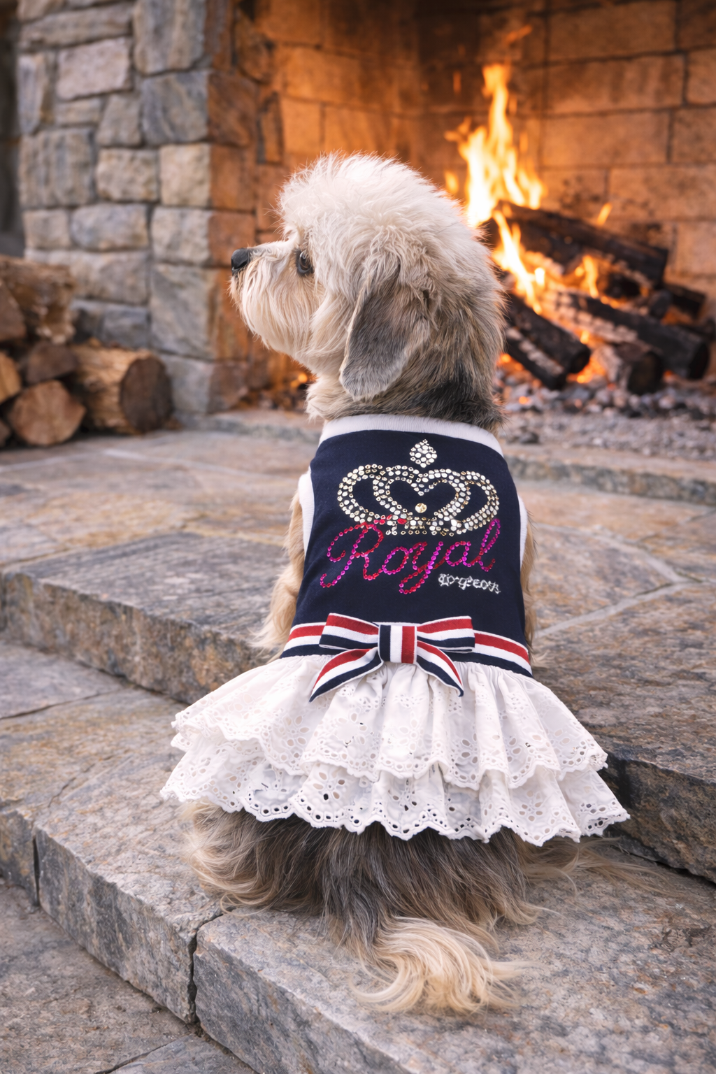Dobaz 'Royal Crown Dress' for Dogs & Cats - Elegant and Fancy Pet Outfit, Luxury Crown Design Clothing for Small Breeds, Navy