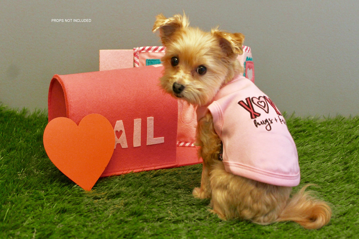 Parisian Pet 'XOXO' Soft Cotton Slogan Dog T-Shirt – Trendy and Comfortable Outfit for Small Dogs & Cats, Pink-Valentine's Day