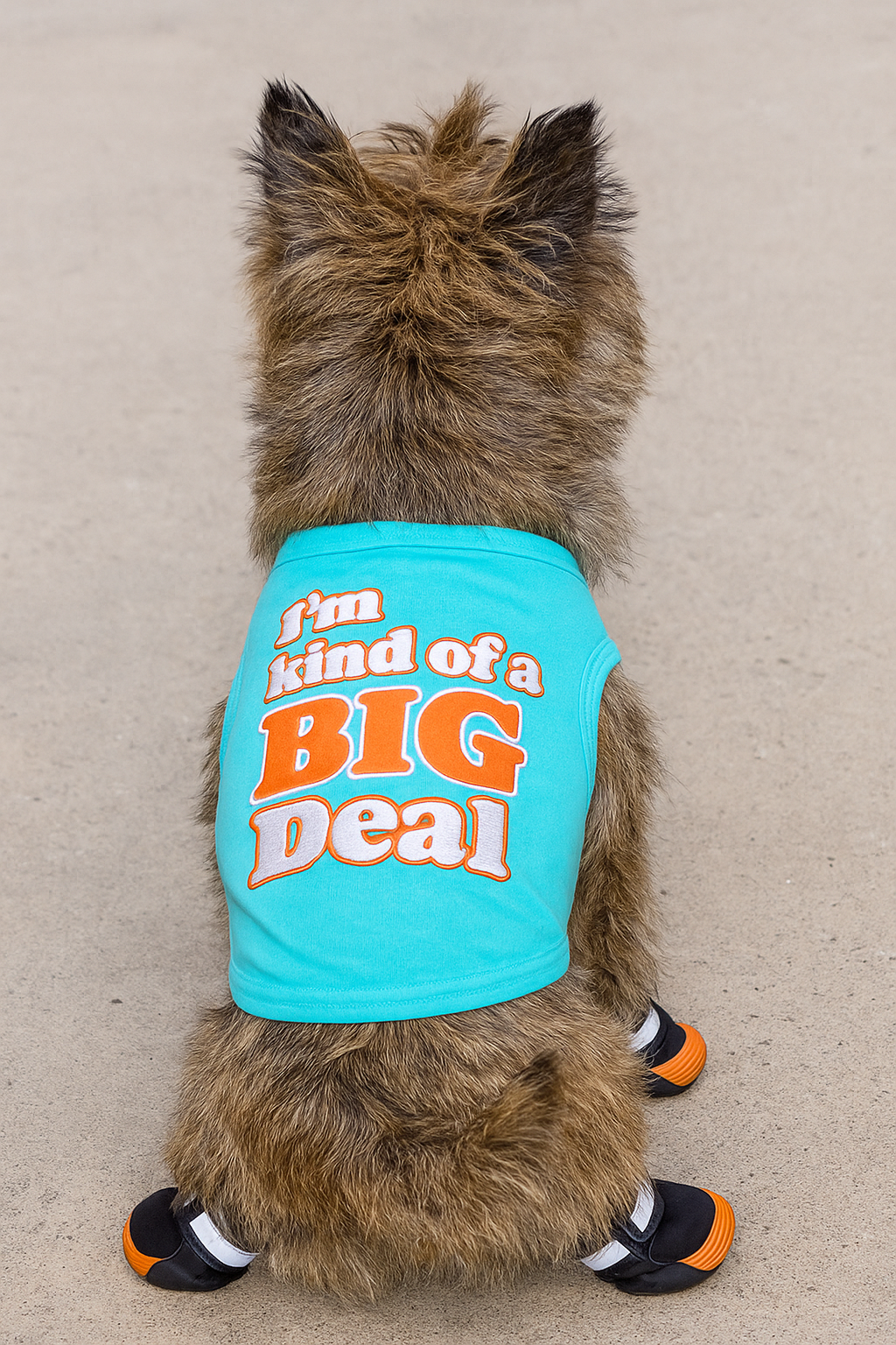 Parisian Pet 'I'm Kind of a Big Deal' Humorous Dog Shirt – Embroidered Graphic Pet T-Shirt for Dogs & Cats, Light Blue