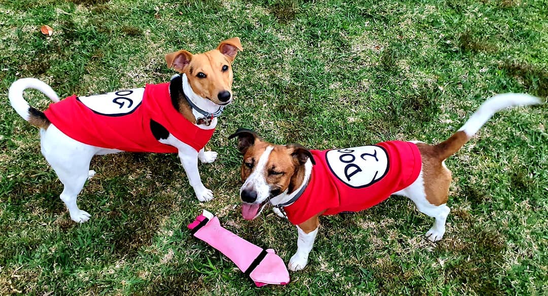 Parisian Pet 'Dog 1' Dog Shirt – Fun Slogan Cotton Pet T-Shirt for Dogs & Cats, Red