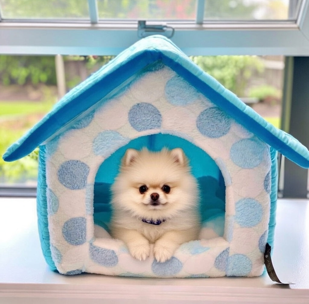 Parisian Pet 'Cotton Candy House' (S) for Dogs & Cats - Soft, Cozy, Durable, Washable Blue Pet House for Small Pets