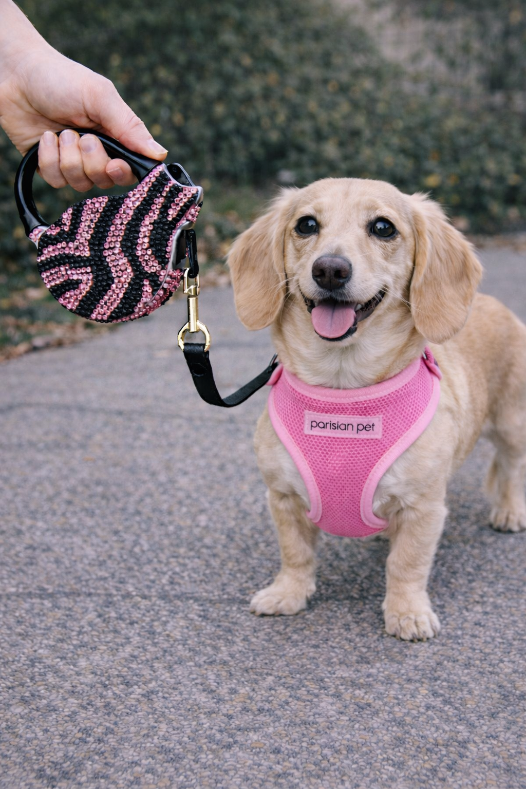 Parisian Pet 'Crystal Retractable Leash Zebra Pink' for Dogs & Cats – 16-Foot Retractable Leash with Zebra Print