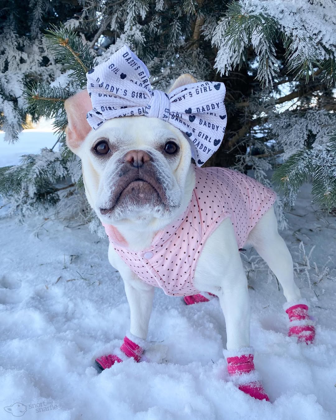 Parisian Pet 'Polka Dot Jacket' for Dogs & Cats, Designer Pet Outerwear, Holiday Pet Jacket, Pink with Black Dots-Valentine's Day