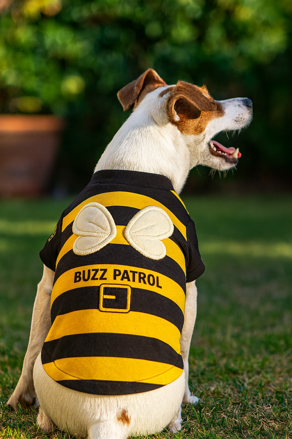 Parisian Pet 'Buzz Patrol Bee' Halloween Costume for Dogs & Cats – Adorable Bee Dog Costume, Pet Halloween Outfit, Yellow and Black