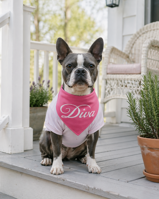 How to Calm Dogs During Easter Gatherings