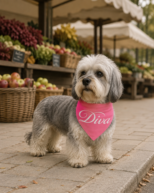 Fall Accessories for Small Dogs