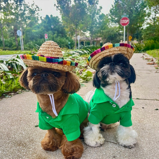 Spring Photoshoot with Your Dog: Ideas & Tips