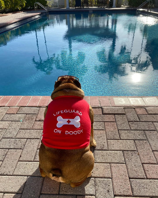 🐶🎽 Funny & Original Dog Clothes: The Best Statement Outfits