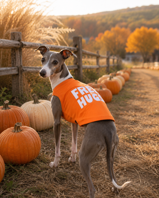 Pumpkin Patch Outfit Ideas