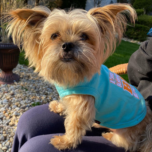 The Best Outfits for Spring Walks in April