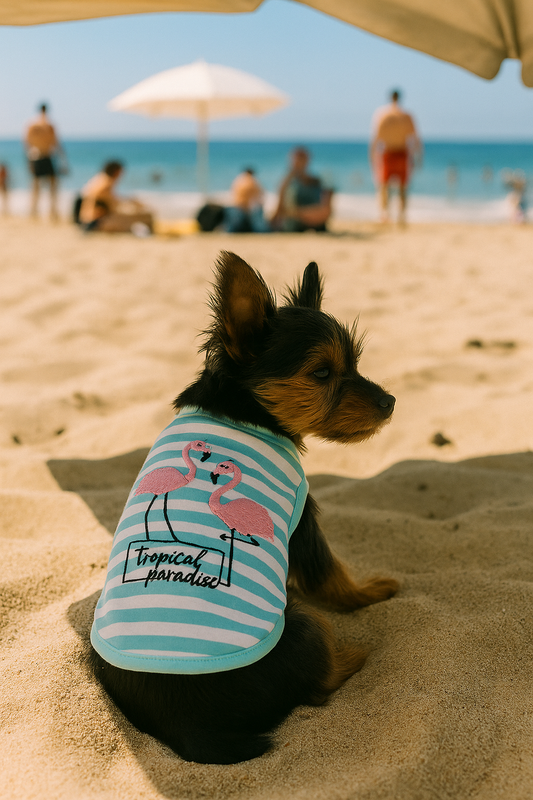 🌞🐾 How to Protect Your Dog from the Sun with Clothing and Accessories