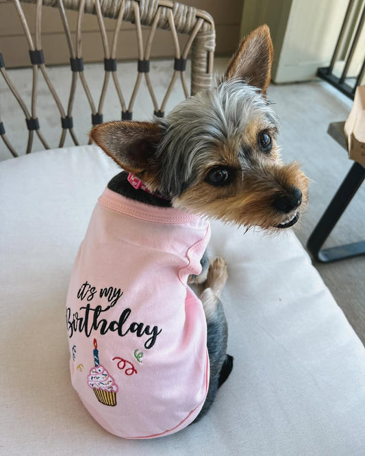 Spring Event & Celebration Outfits for Dogs: The Best Looks for Every Occasion
