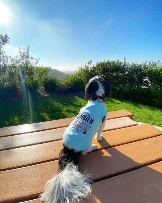 The Latest in Dog Fashion: Summer 2025 Preview