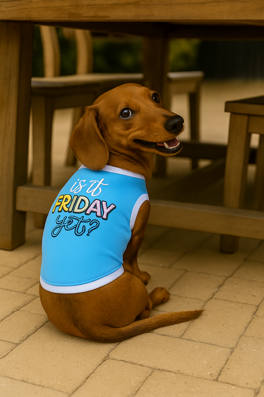 Dog Brunch Outfits: Stylish & Comfortable Looks for Outdoor Cafés