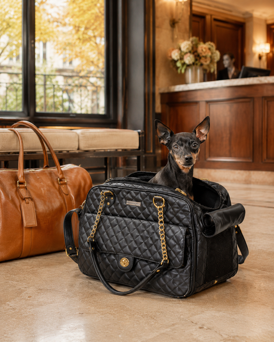 Fall Travel With Pets