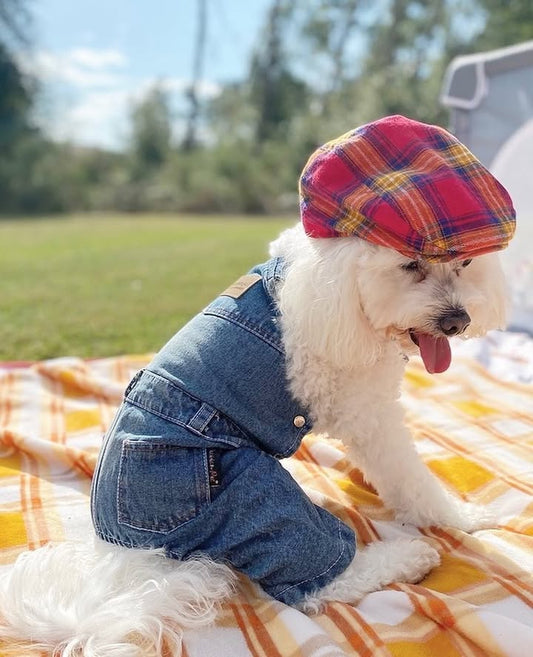 Spring Accessories for Dogs: Bandanas, Hats, and More