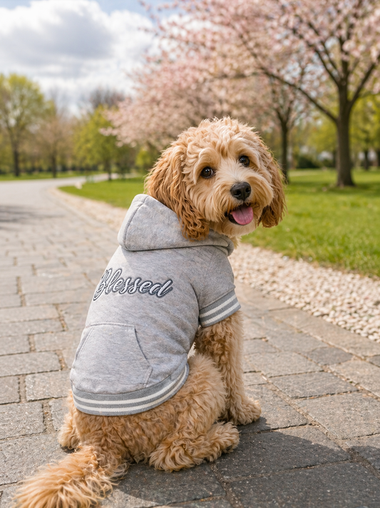 Lightweight Hoodies for Breezy April Days