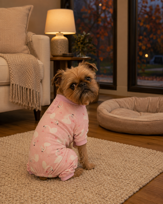 Cozy-at-Home Fall Outfits
