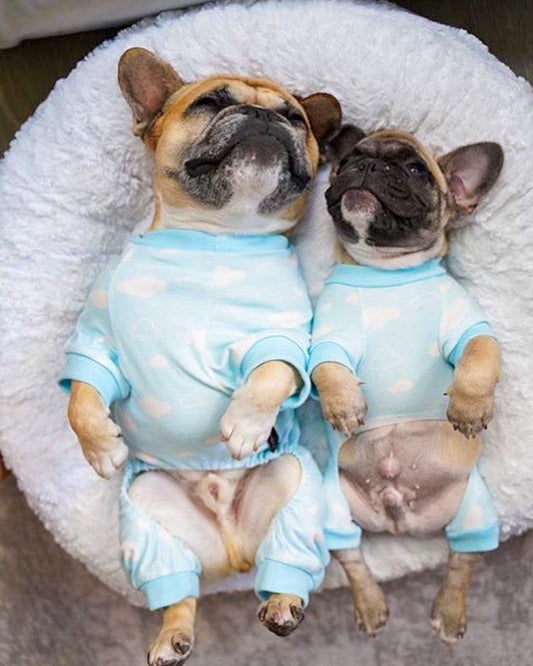 Dog Pajamas & Pet Robes