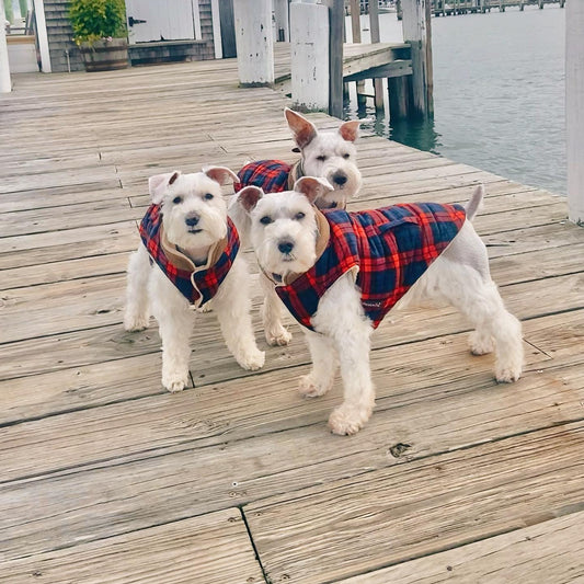 🐶🧥 Versatile Dog Clothing: All-Weather Options for Every Season