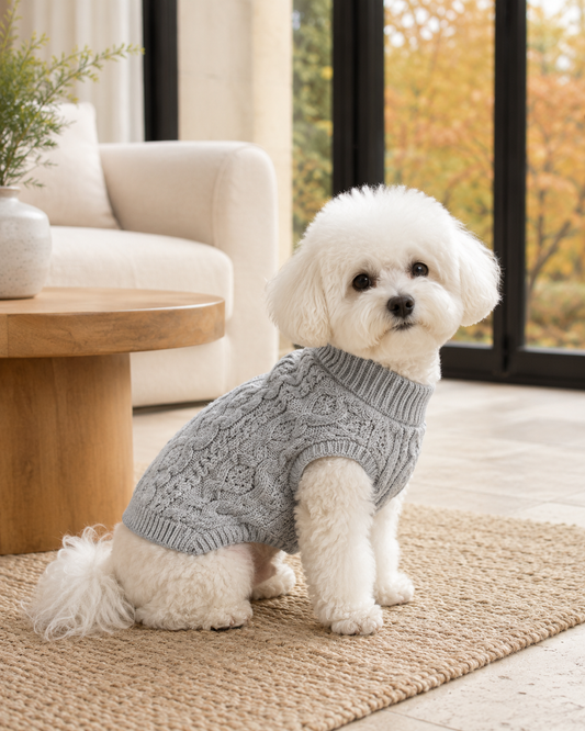 Comfort-Focused Fall Apparel