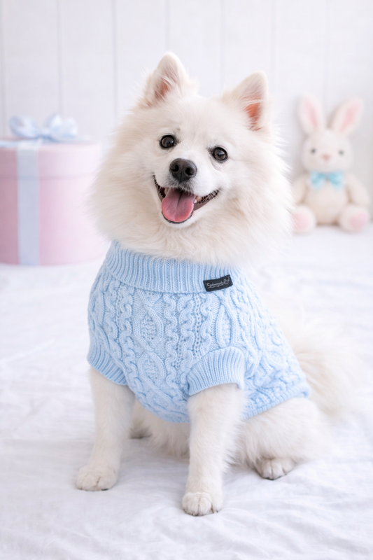 Fresh Colors for Spring Dog Apparel