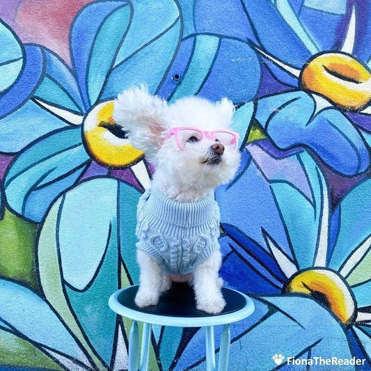 Pet Fashion for Outdoor Activities
