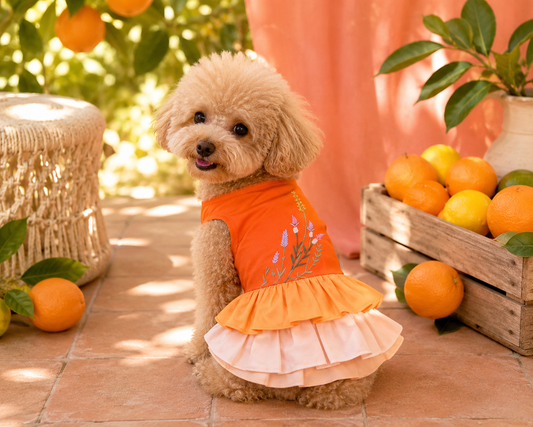 Fun Summer Themes for Photoshoots