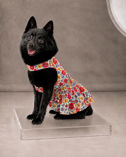 Bright Prints That Look Great on Camera