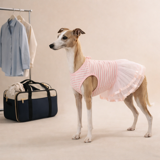 Spring Travel Checklist for Dogs