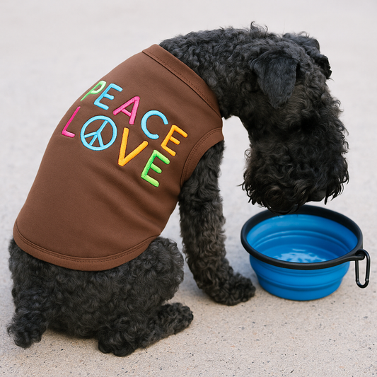 Common Mistakes When Dressing Your Dog in Summer