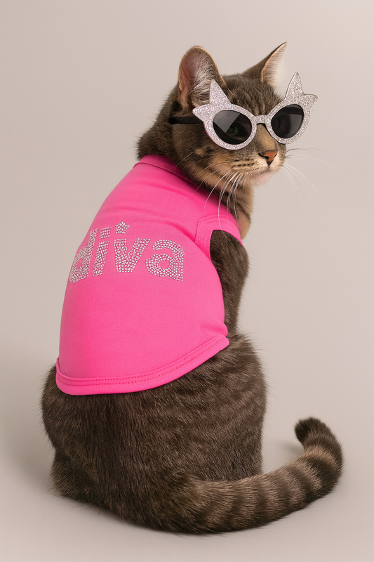 Top Pet Costume Trends for Halloween 2025