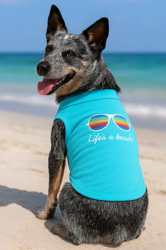 📱🐶 Dog Fashion Trends Seen on Social Media