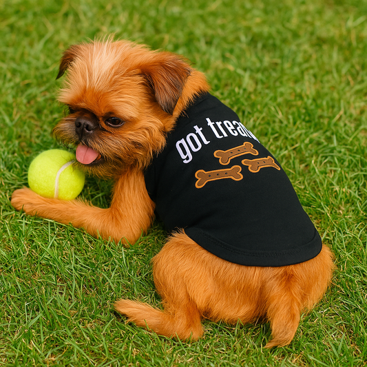 Transitional Clothing for Active Dogs: Style in Motion