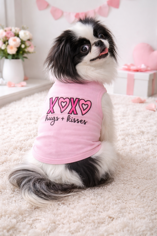 Pink vs. Red: Best Colors for Your Pup’s Skin Tone