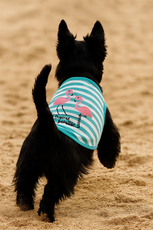 Perfect Beach Outfits for Dogs: Style, Comfort & Summer Fun