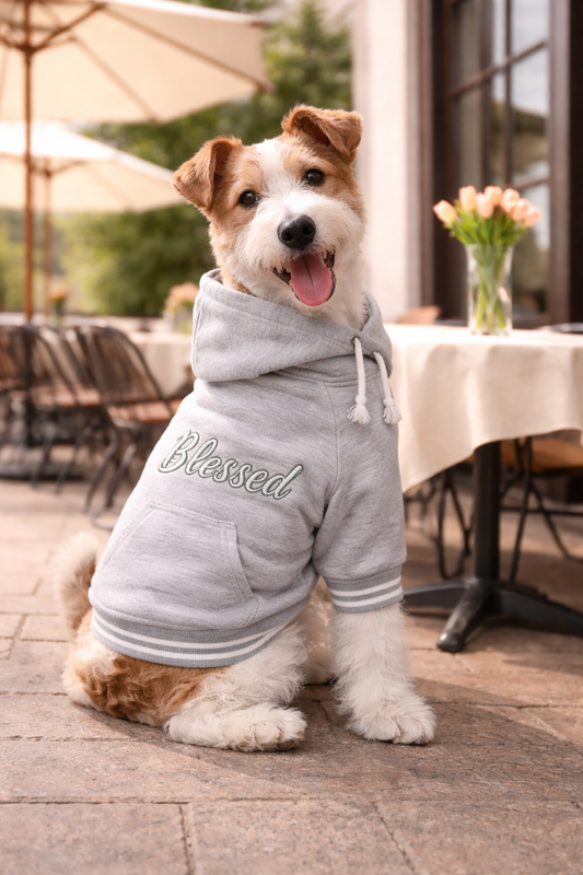 Cotton vs. Mesh Fabrics for Spring