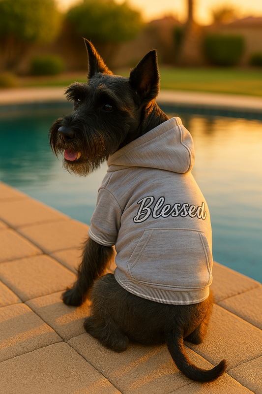 Dog Fashion Trends for the End of Summer