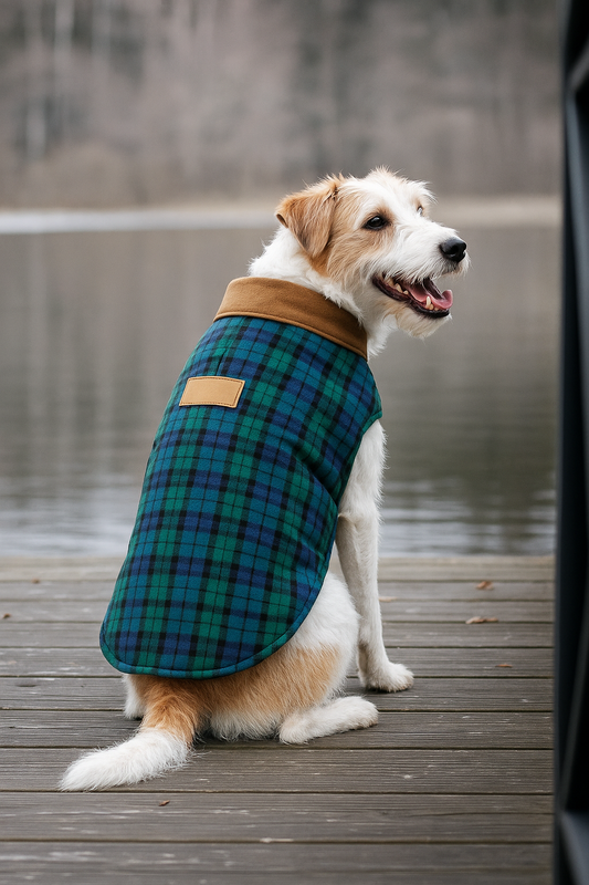 Are Dog Coats and Jackets Necessary? Experts Weigh In