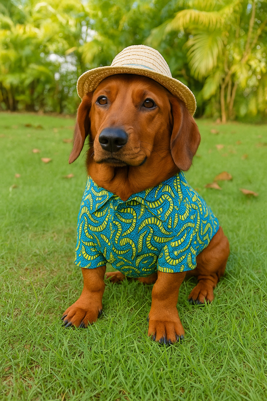 How to Mix Dog Clothing and Accessories on Hot Days