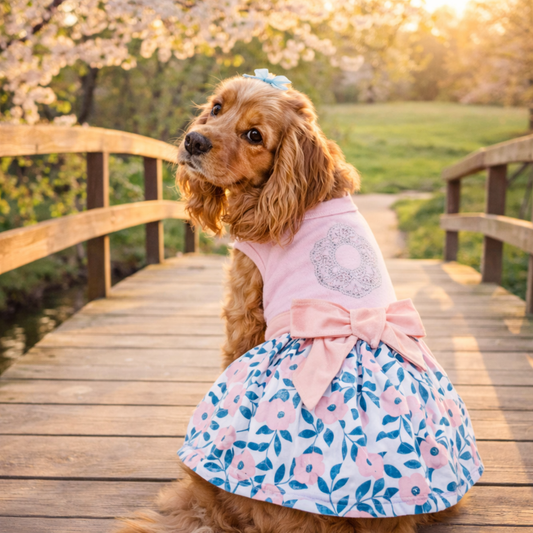Pastel-Colored Pet Fashion Ideas