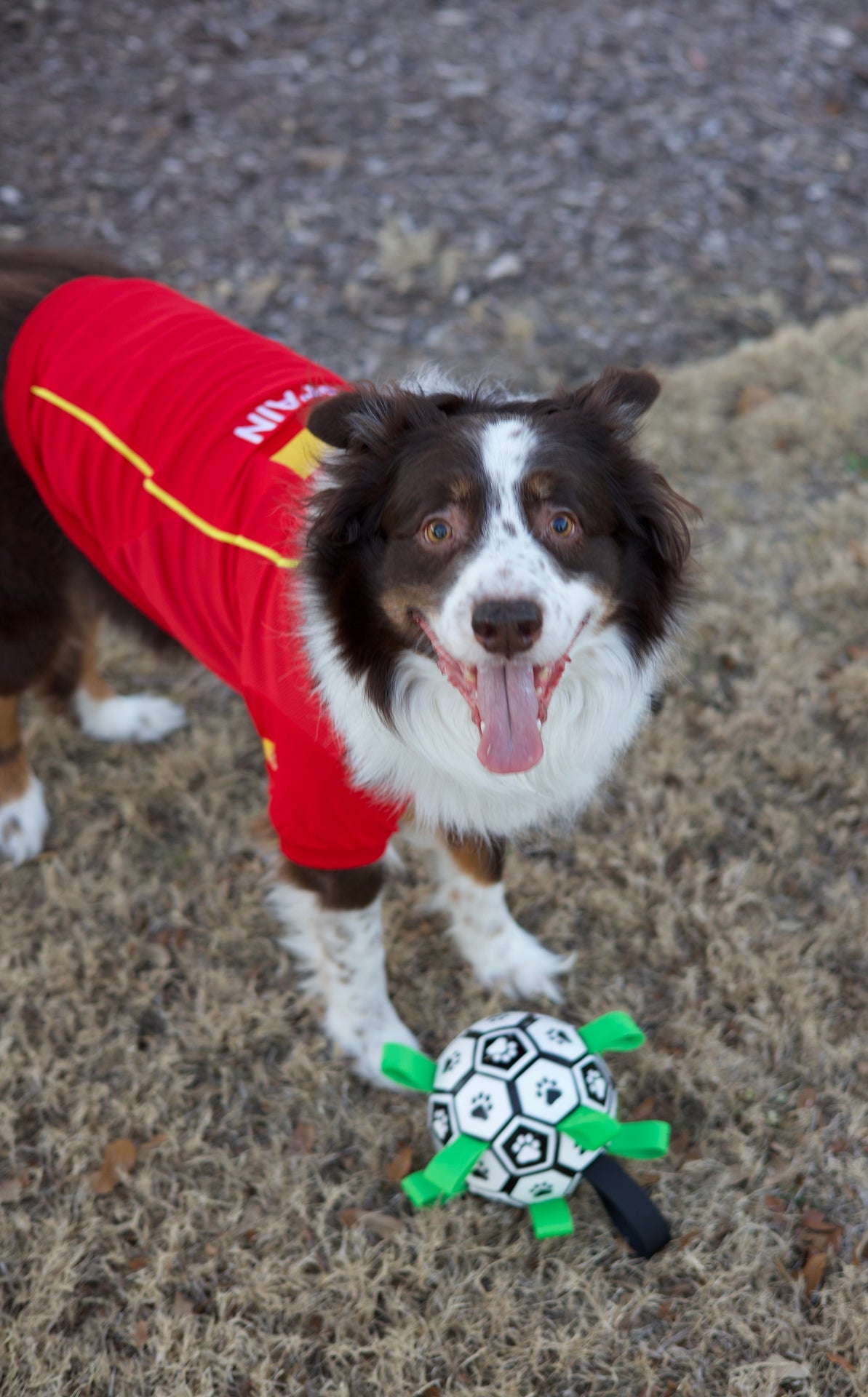 Parisian Pet 'Team Spain' Jersey for Dogs & Cats – Spain Flag-Inspired Pet Outfit, Soccer Fan Apparel for Dogs & Cats, Red and Yellow Stripes