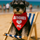 Parisian Pet 'Bitches Love Me' Bandana - Stylish, Comfortable, Trendy Red Bandana for Dogs & Cats, Fun Pet Fashion Accessory