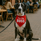 Parisian Pet 'I'm The Boss' Bandana for Dogs & Cats - Trendy, Comfortable, Funny Red Pet Bandana, Fashionable Dog & Cat Accessory