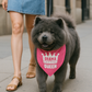 Parisian Pet 'Drama Queen' Bandana for Dogs & Cats - Fashionable, Comfortable, Fun Pink Dog & Cat Bandana, Trendy Pet Accessory