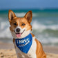 Parisian Pet 'I Have Issues' Bandana for Dogs & Cats - Fun, Comfortable, Blue Fashion Accessory